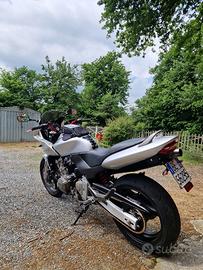 Hornet 600 S