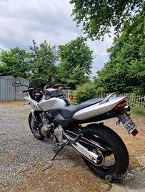 Hornet 600 S