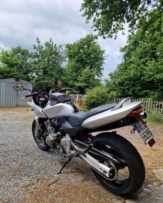 Hornet 600 S