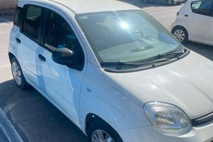Fiat Panda Hybrid, Panda 1.0 Hybrid in garanzia