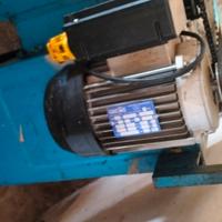 pigiatrice uva a motore 