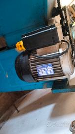 pigiatrice uva a motore 