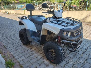 Aeon Crossland 300  del 2016