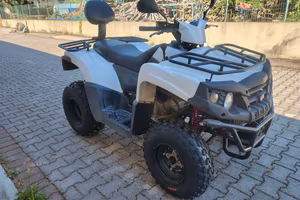 Aeon Crossland 300  del 2016