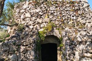Terreno agricolo