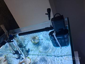 acquario 50 litri + filtro