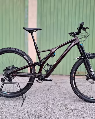 Specialized stumpjumper evo