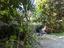 Immagine 23