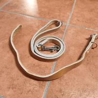 collare+guinzaglio in pelle 