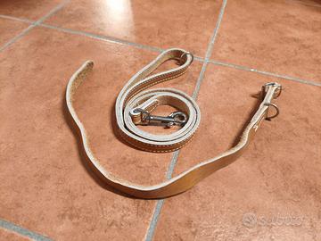 collare+guinzaglio in pelle 