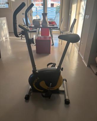 Bici elettrica da casa
