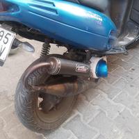 Marmitta Giannelli shot v4