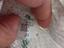 Immagine 6