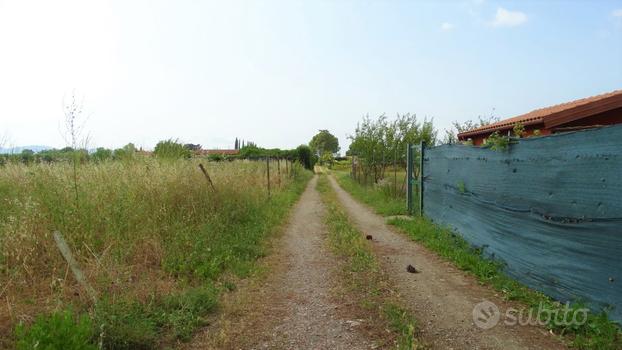 Terreno Agricolo Grosseto [Cod. rif 3072237VCG]