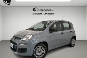 FIAT Panda 3ª serie Panda 1.0 FireFly S&S Hybrid
