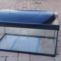 Acquario Tetra 54 litri