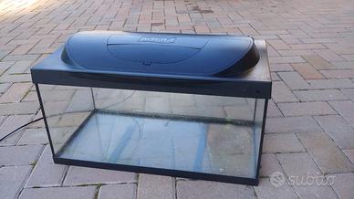 Acquario Tetra 54 litri