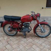 Benelli leoncino 125