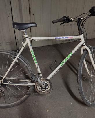 Bicicletta GIANT Bici City Bike Uomo