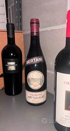 Amarone della Valpolicella 2012 Bertani