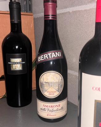 Amarone della Valpolicella 2012 Bertani