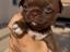 Immagine 1
