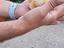 Immagine 2