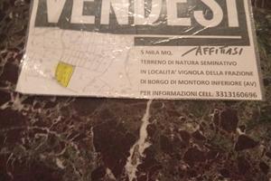 Terre
