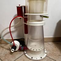 Schiumatoio acquario marino