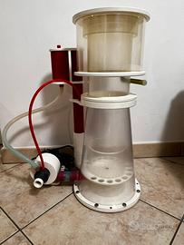 Schiumatoio acquario marino