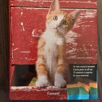 il gatto che aiutava a trovare nuovi amici