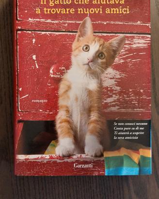 il gatto che aiutava a trovare nuovi amici
