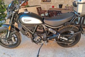 DUCATI SCLAMBER