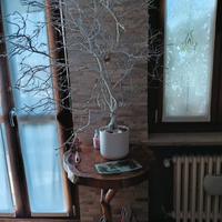 albero di Natale luminoso