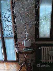 albero di Natale luminoso