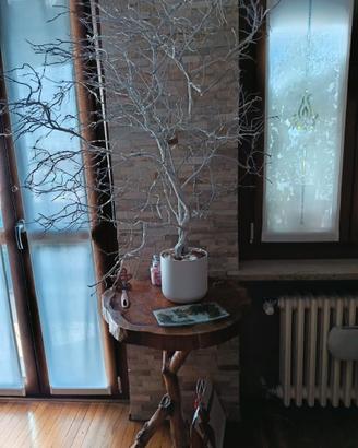 albero di Natale luminoso