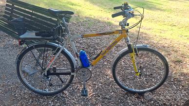 Bicicletta SINTESI HALE BOPP