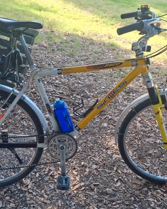 Bicicletta SINTESI HALE BOPP