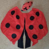 Vestito di carnevale da coccinella