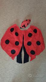 Vestito di carnevale da coccinella