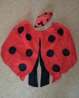 Vestito di carnevale da coccinella