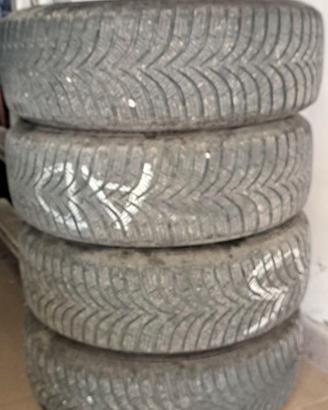 Gomme per panda