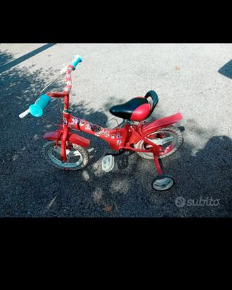 bicicletta 