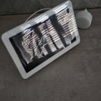 Assistente Vocale Google