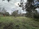 terreno-agricolo-canale-monterano-te36vrg-
