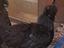 Immagine 3