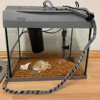 Acquario