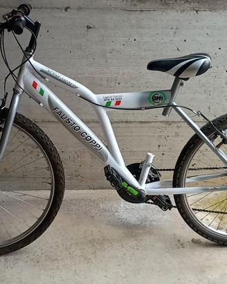 bicicletta 