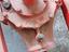 Immagine 3