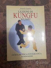 Lezioni di Kungfu Wushu
